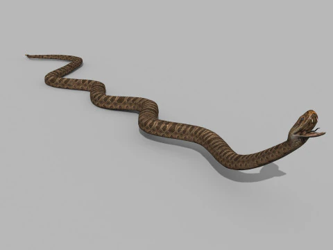 Pro Rattlesnake Snake - 8k - 3d animated 3D Model