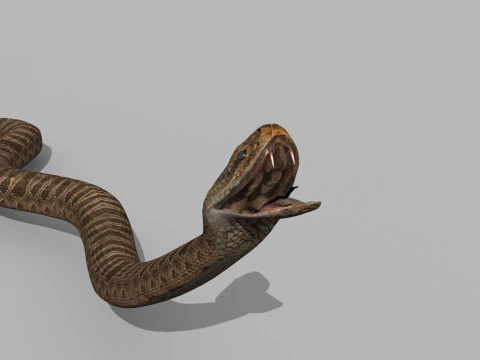 Pro Rattlesnake Snake - 8k - 3d animated 3D Model