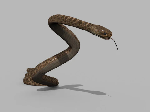 Pro Rattlesnake Snake - 8k - 3d animated 3D Model