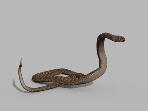 Pro Rattlesnake Snake - 8k - 3d animated 3D Model