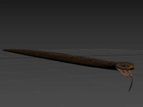 Pro Rattlesnake Snake - 8k - 3d animated 3D Model