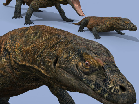 Dragon de Komodo ultime - Modèle animé 8K 3D Modèle 3D