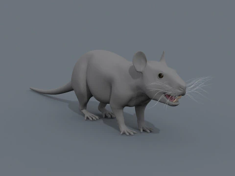 Top Rat - 8k - 3d animated mouse 3D Model