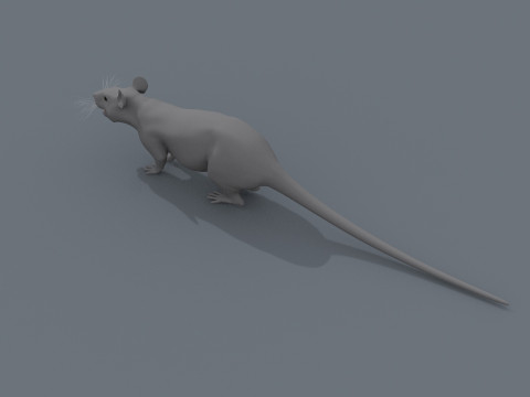 Top Rat - 8k - 3D アニメーション マウス 3Dモデル