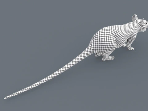 Top Rat - 8k - 3d animated mouse 3D Model