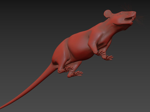 Top Rat - 8k - 3D アニメーション マウス 3Dモデル