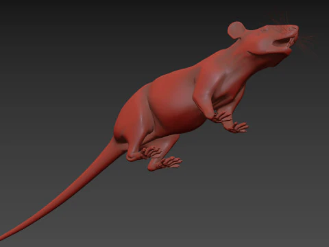 Top Rat - 8k - 3d animated mouse 3D Model
