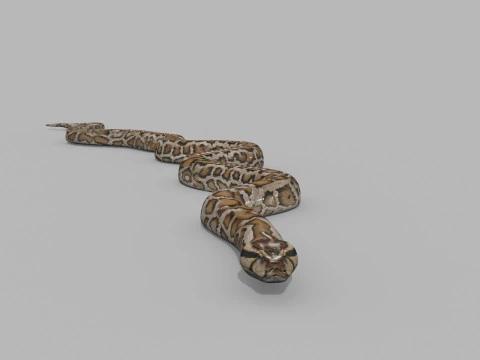 Pro Burmese Python Titanoboa Snake - 8k - 3d animated 3D Model