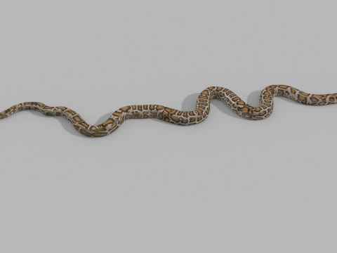 Pro Burmese Python Titanoboa Snake - 8k - 3d animated 3D Model