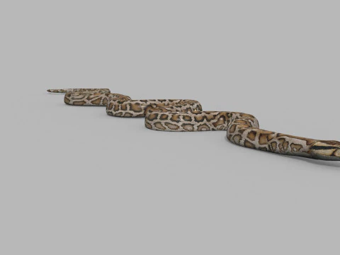 Pro Burmese Python Titanoboa Snake - 8k - 3d animated 3D Model