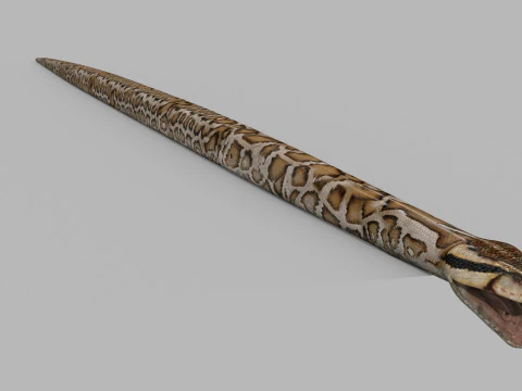 Pro Burmese Python Titanoboa Snake - 8k - 3d animated 3D Model