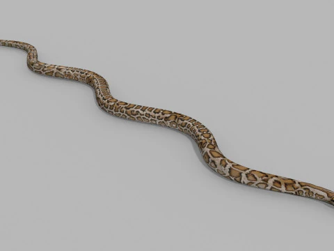 Pro Burmese Python Titanoboa Snake - 8k - 3d animated 3D Model