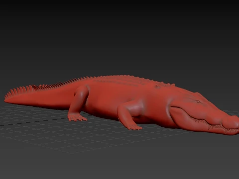 Top Croc PRO - 8K 3D Animated Crocodile Model 3D Model
