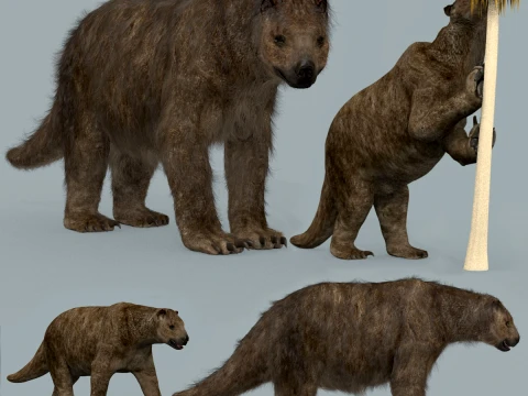 Megatherium Eremotherium - Giant Ground Sloth - HD 3D Model
