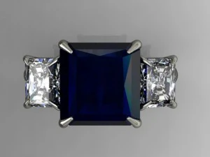 링 17 3D 프린트 모델