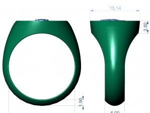 ring lion 3D Print Model