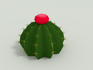 cactus zehntneri Model 3D