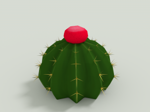 cactus zehntneri 3D Model
