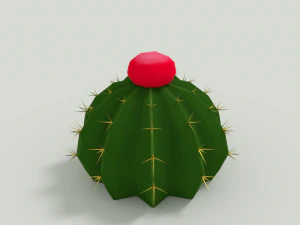 cactus zehntneri 3D Model