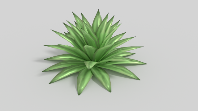 agave Model 3D .c4d .max .obj .3ds .fbx .stl .blend 