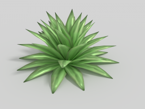 agave Model 3D