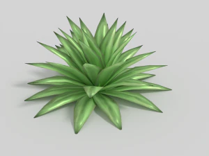 रामबांस 3D मॉडल