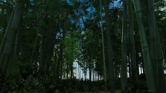 bamboo forest 02 3D Model .c4d .max .obj .3ds .fbx .stl .blend 