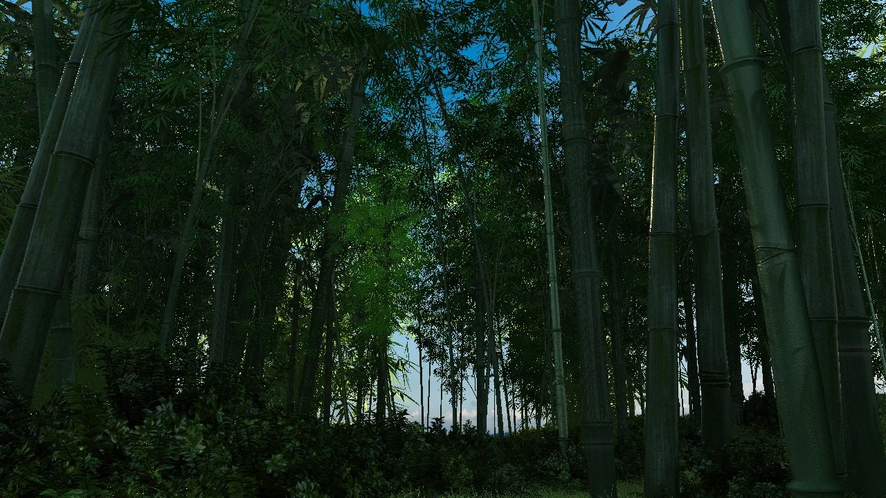 bamboo forest 02 3D Model .c4d .max .obj .3ds .fbx .stl .blend 