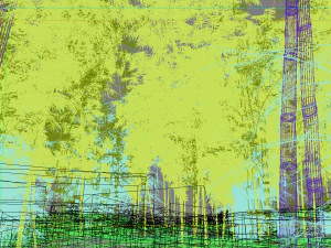 bamboo forest 02 3D Model
