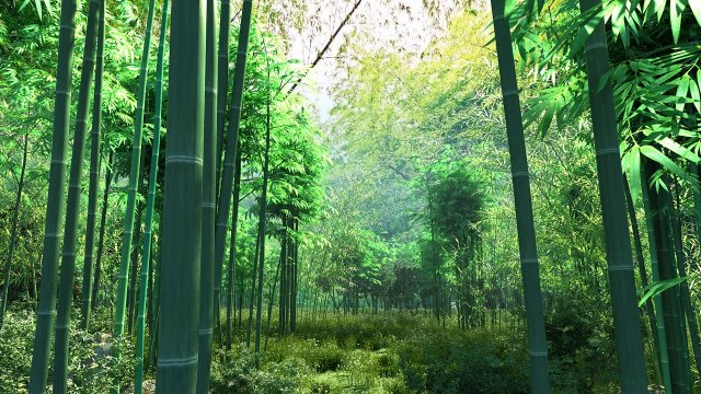 bamboo forest 03 Model 3D .c4d .max .obj .3ds .fbx .stl .blend 