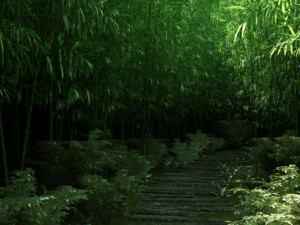 bamboo forest 04 3D 模型