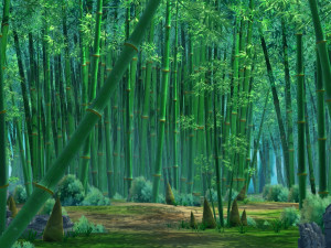 bamboo forest 05 3D Model