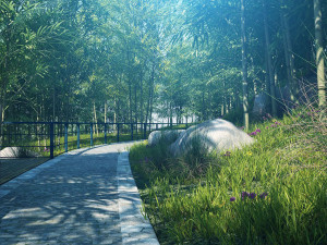 bamboo forest 06 3Dモデル