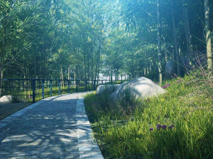 bamboo forest 06 3D Model