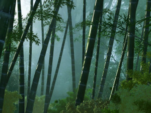 bamboo forest animated 01 3D Model