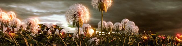 dandelion sence 01 Modello 3D .c4d .max .obj .3ds .fbx .stl .blend