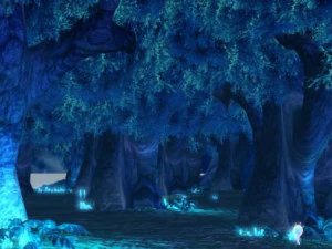 forest night view scene 3D Model