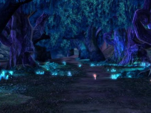 forest night view scene 3D Model
