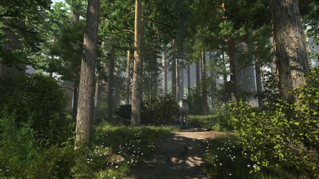 forest scene 10 Model 3D .c4d .max .obj .3ds .fbx .stl .blend 