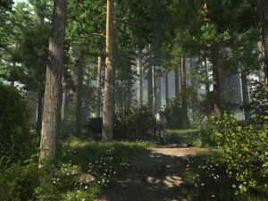 pemandangan hutan 10 Model 3D