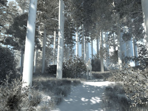forest scene 10 Model 3D