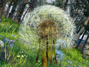 forest scene 12 Model 3D