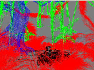 forest scene 13 3D Model
