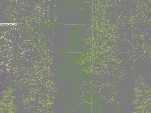 forest scene 15 Model 3D