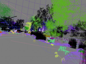 forest scene 17 Model 3D