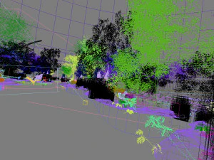 forest scene 17 3D Model