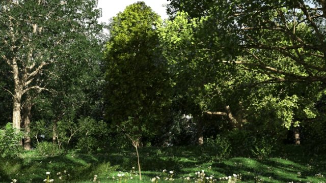 forest scene 18 Model 3D .c4d .max .obj .3ds .fbx .stl .blend
