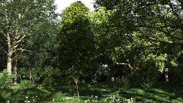 лісова сцена 18 3D Модель .c4d .max .obj .3ds .fbx .stl .blend 