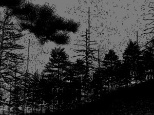 forest scene 20 3D Model