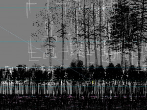 forest scene 21 Model 3D
